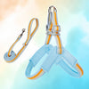 Y-Shaped Dog Harness for Small to Medium Dogs