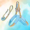 Y-Shaped Dog Harness for Small to Medium Dogs