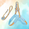 Y-Shaped Dog Harness for Small to Medium Dogs