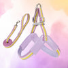 Y-Shaped Dog Harness for Small to Medium Dogs