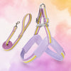 Y-Shaped Dog Harness for Small to Medium Dogs