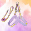 Y-Shaped Dog Harness for Small to Medium Dogs