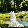 Formal One-Piece Dog Dress for Medium and Large Dogs