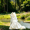 Formal One-Piece Dog Dress for Medium and Large Dogs