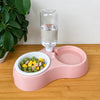 Double Pet Bowl with Water Dispenser for Dogs and Cats