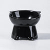 Ceramic Angled Elevated Bowl for Cats and Dogs