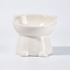Ceramic Angled Elevated Bowl for Cats and Dogs