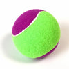 Small Nylon Tennis Ball-Style Dog Toy