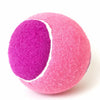 Small Nylon Tennis Ball-Style Dog Toy