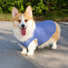 Lightweight Summer Dog Vest for Everyday Outings