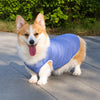 Lightweight Summer Dog Vest for Everyday Outings