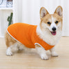 Lightweight Summer Dog Vest for Everyday Outings