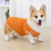 Lightweight Summer Dog Vest for Everyday Outings