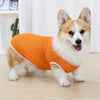 Lightweight Summer Dog Vest for Everyday Outings