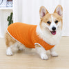 Lightweight Summer Dog Vest for Everyday Outings
