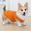 Lightweight Summer Dog Vest for Everyday Outings