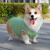 Lightweight Summer Dog Vest for Everyday Outings
