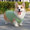 Lightweight Summer Dog Vest for Everyday Outings