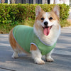Lightweight Summer Dog Vest for Everyday Outings