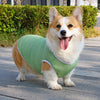 Lightweight Summer Dog Vest for Everyday Outings