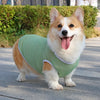 Lightweight Summer Dog Vest for Everyday Outings