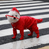 Waterproof Full-Coverage Raincoat for Small Dogs