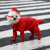 Waterproof Full-Coverage Raincoat for Small Dogs