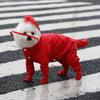 Waterproof Full-Coverage Raincoat for Small Dogs