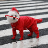 Waterproof Full-Coverage Raincoat for Small Dogs