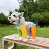 Nylon Four-Leg Dog Suit for Outdoor Walks and Outings