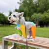 Nylon Four-Leg Dog Suit for Outdoor Walks and Outings