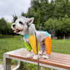 Nylon Four-Leg Dog Suit for Outdoor Walks and Outings