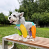 Nylon Four-Leg Dog Suit for Outdoor Walks and Outings
