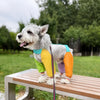 Nylon Four-Leg Dog Suit for Outdoor Walks and Outings