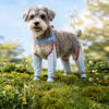 Water-Resistant Dog Rain Suit with Full-Coverage Leg Covers