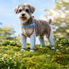 Water-Resistant Dog Rain Suit with Full-Coverage Leg Covers