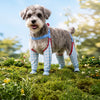 Water-Resistant Dog Rain Suit with Full-Coverage Leg Covers