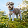 Water-Resistant Dog Rain Suit with Full-Coverage Leg Covers