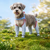 Water-Resistant Dog Rain Suit with Full-Coverage Leg Covers