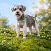 Water-Resistant Dog Rain Suit with Full-Coverage Leg Covers