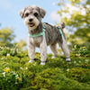 Water-Resistant Dog Rain Suit with Full-Coverage Leg Covers