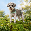Water-Resistant Dog Rain Suit with Full-Coverage Leg Covers