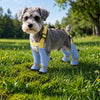 Water-Resistant Dog Rain Suit with Full-Coverage Leg Covers