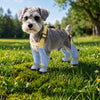 Water-Resistant Dog Rain Suit with Full-Coverage Leg Covers