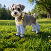 Water-Resistant Dog Rain Suit with Full-Coverage Leg Covers