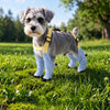 Water-Resistant Dog Rain Suit with Full-Coverage Leg Covers