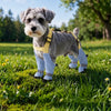 Water-Resistant Dog Rain Suit with Full-Coverage Leg Covers