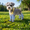 Water-Resistant Dog Rain Suit with Full-Coverage Leg Covers