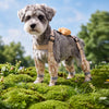 Water-Resistant Dog Rain Suit with Full-Coverage Leg Covers