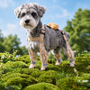 Water-Resistant Dog Rain Suit with Full-Coverage Leg Covers